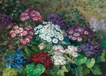 Summer Flowers